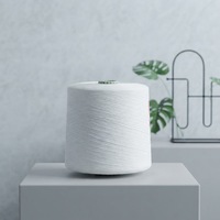 Fil à coudre en polyester filé 100% écologique haute ténacité TFO, certifié Oeko-Tex, 30S/2, paquet de 25 kg