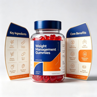 Gummies SYC BIO sans sucre pour la gestion du poids, 60 unités, avec mélatonine et L-théanine, soutien du sommeil, complément quotidien pour hommes et femmes