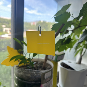 Nhà Máy Bán Hàng Trực Tiếp Vàng Keo Hội Đồng Quản Trị Nhựa Côn Trùng Lỗi Sticker Keo Bẫy - Product Image 3