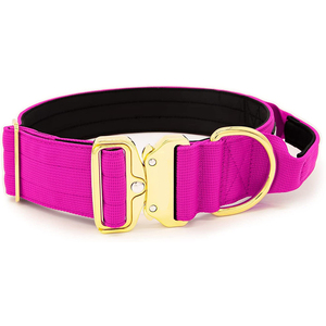 Collar para perro de combate acolchado de <span class=keywords><strong>neopreno</strong></span> resistente, 1,5 pulgadas, hebilla de Color dorado - Product Image 1