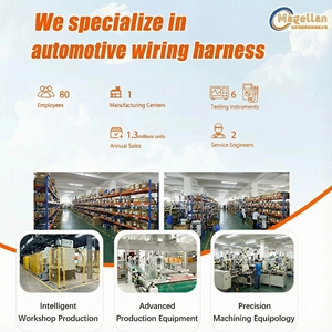 ปลั๊กเชื่อมต่อสำหรับชาร์จรถยนต์ไฟฟ้าแบบที่ 2 ได้รับการรับรองจาก TUV สถานีชาร์จรถยนต์<span class=keywords><strong>ไฟ</strong></span>ฟ้า ปลั๊กเชื่อมต่อสำหรับยานยนต์พลังงานใหม่ TE - Product Image 6