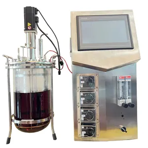 Ruiyuan biyoreaktör Fermenter, laboratuvar cam fermantasyon tankı