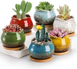 MDJ Lot de 6 pots à plantes succulentes et cactus en céramique émaillée de 4 pouces, écologiques, avec soucoupe de drainage, design moderne, pour intérieur/extérieur - Product Image 1