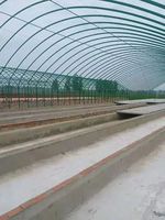 Systèmes de culture hydroponique agricole pour légumes et tomates, grande serre familiale à simple travée en film PE transparent