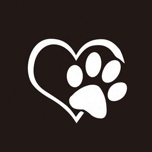 สติ๊กเกอร์ติดรถยนต์แบบฟิล์มไวนิลพิมพ์ลายหน้าต่าง ราคาถูกแบบ OEM - Product Image 2