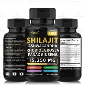 BIYODE GMP Factory Shilajit Pure Himalayan Wholesale Brain Memory Immune System Support Custom Natural Shilajit Pill Capsule