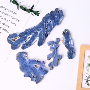 Nueva llegada: Lámina de coral azul pulida a mano, piedra de cristal de gema natural, espécimen mineral. - Product Image 3