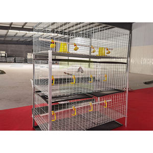 GREAT FARM Gabbia Commerciale per Polli da Carne a 3 Livelli, 6 Porte, Resistente, Zincata a Freddo, Attrezzatura Avicola per 54-60 Polli - Product Image 6