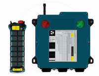Télécommande radio pour grue à flèche DK1-14D-29, 14 boutons, commande hydraulique