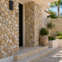 Revêtements muraux en pierre préfabriquée, panneaux muraux en pierre cultivée, revêtement extérieur, grandes dalles, villa, jardin, paysage, façade