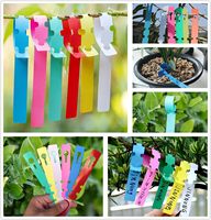 Plantes de pépinière colorées fleurs étiquettes de plantes réglables envelopper autour d'étiquettes de plantes d'arbre de jardin suspendues imperméables