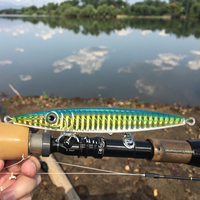 HASIDA Vente en gros de leurres de pêche en métal, appâts durs, yeux artificiels 3D avec revêtement laser, pour eau douce et eau salée, 40g 60g 80g