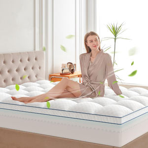 ที่นอนเสริมคิงไซส์ หนา 3-4 นิ้ว ไมโครไฟเบอร์ เมมโมรี่โฟม เป็นมิตรกับสิ่งแวดล้อม ซักได้ บรรเทาอาการปวดหลัง 2.5 นิ้ว เย็นสบาย นุ่ม รองรับสรีระ - Product Image 5