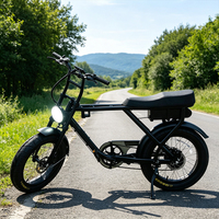 Vélo électrique rétro pour adultes, style cyclomoteur, 36V 250W, moteur Bafang à moyeu arrière, écran LCD, batterie 20AH, pneus larges 20"x4, vélo électrique urbain