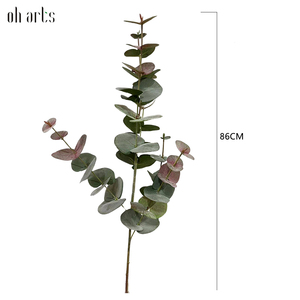 Qualidade <span class=keywords><strong>Eucalipto</strong></span> <span class=keywords><strong>artificial</strong></span> Deixa Unico <span class=keywords><strong>Eucalipto</strong></span> Stem Para decoración del hogar - Product Image 4