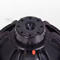 12NDL76 Haut-parleur de réseau linéaire en néodyme 800w Pilote de caisson de basses 12 pouces