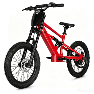 Bicicleta de Equilibrio para Niños de 20 Pulgadas, 48V, 6.0AH, 1000W, Diseño sin Escobillas, Sensor Inteligente, Litio, Aluminio, para Niños - Product Image 1