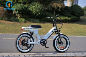 Vélo électrique tout-terrain <span class=keywords><strong>OTMAR</strong></span> OEM/ODM 750W/1000W avec pneus larges de 20 pouces pour la neige, moteur à moyeu arrière, batterie au lithium, cadre en alliage d'aluminium à 7 vitesses - Product Image 3