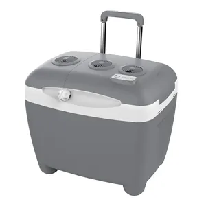 Portable Cooling Heating Fridge 50L Outdoor Small Electric Ice Cooler Box Camping Fridge