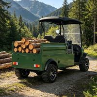 Voiture de golf électrique tout-terrain Rainbow 72V certifiée CE, freins à disque, 2 places personnalisées avec benne arrière hydraulique, autonomie 70-90 km