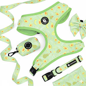 Ensemble personnalisé de harnais pour <span class=keywords><strong>chien</strong></span> avec impression sur mesure, motif gratuit, distributeur de sacs à excréments pour chiot, <span class=keywords><strong>laisse</strong></span> <span class=keywords><strong>et</strong></span> collier pour <span class=keywords><strong>chien</strong></span> - Product Image 2