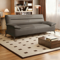 Nouveau Canapé-Lit Extensible et Pliable 2-en-1 2025 au Design Moderne, en Tissu Anti-Rayures pour Chat avec Cadre Métallique