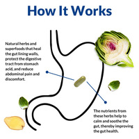 Compléments alimentaires pour adultes à base de zinc, de carnosine, de gingembre et de feuilles d'artichaut pour la santé intestinale et le bien-être digestif, capsules végétales naturelles