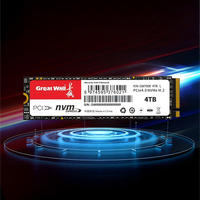 SSD M.2 2280 Great Wall GW7000 PCIe4.0 Interface 2T 3D NAND TLC Baru, Kecepatan Baca/Tulis Tinggi, Warna Hitam, Garansi 5 Tahun, Internal untuk Desktop/Laptop
