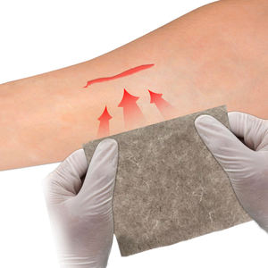 Harga pabrik OEM balutan luka perak alginat untuk luka pengurang tinggi - Product Image 4