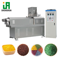 Machine d'Extrusion Automatique de Riz Artificiel en Acier Inoxydable de Qualité Alimentaire à Haute Efficacité, Machine de Fabrication de Riz Nutritionnel Fortifié