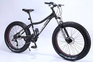 Fabricants de fourches en acier de 24 et 26 pouces, vente en gros, vélo de montagne et de plage à gros pneus larges de 4,0 pouces avec <span class=keywords><strong>roue</strong></span> creuse - Product Image 4