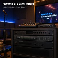 Processeur d'effets de pré-ampli FFR AUDIO NDS500 KTV, mixeur audio DSP 8 canaux, Bluetooth, WiFi, USB, optique, coaxial pour karaoké