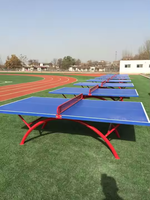 Al Aire Libre Smc Ping Pong Table Wholesale Ping Pong Blue Red School Government Procurement Mesa de ping pong