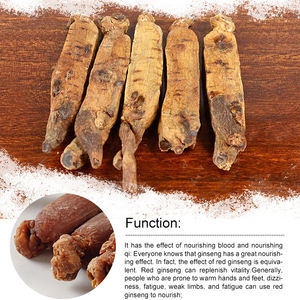 Strip Ekstrak Akar <span class=keywords><strong>Ginseng</strong></span> <span class=keywords><strong>Panax</strong></span> Merah Segar Premium Korea - Product Image 3