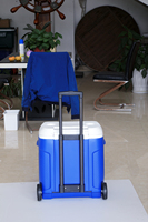 Offre Spéciale Promotion haute qualité personnalisé OEM 54L polyuréthane isolé thermique roue de chariot bière glace boîte de refroidissement