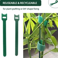 100 attaches pour plantes grimpantes en nylon vert de 6 pouces, réutilisables, réglables et antidérapantes, avec fermeture auto-agrippante
