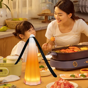 พัดลมไล่ยุงและแมลงรบกวน USB ควบคุมยุงและกำจัดแมลง - Product Image 6