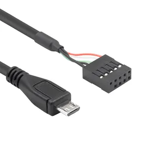 Micro Usb Naar Moederbord Header Micro Usb Mannelijk Naar 9 Pin Moederbord Vrouwelijke Adapter Dupont Verlengde Kabel