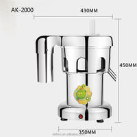 Commerciële 370W Zware Sapcentrifuge Sapmachine Voor Thuisrestaurants Fruitverwerkingsfabriek Voor Fruitnoten Melk