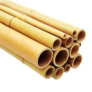 İnşaat için uygun maliyetli özel boyut saf doğal Moso kuru bambu direk