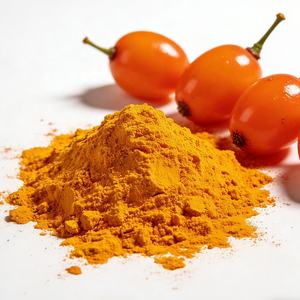 Pó de Espinheiro Marítimo Liofilizado de Alta Pureza, Pó de Fruto de Espinheiro Marítimo, Preço de Atacado - Product Image 4