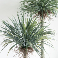 Arbre de Yucca Artificiel Vert 140-220cm Plante Artificielle en Pot pour Décoration Intérieure et Extérieure