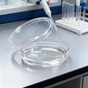 Großhandel Einweg-nicht pyrogene DNA-RNA-freie Einweg-Kultur zelle Petrischale 55mm für die Samen keimung - Product Image 1