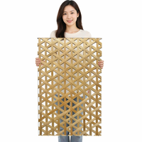 Paravent décoratif semi-transparent en résine acrylique tressée de bambou moderne, motif glaçon, pour décoration murale intérieure, Chine