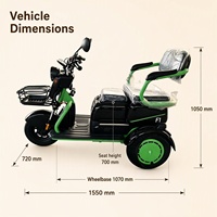 Grand tricycle électrique haute puissance à deux places, tricycle électrique à 3 roues pour adultes