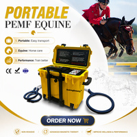 Équipement professionnel PEMF équin pour les soins des chevaux, appareil de magnétothérapie portable pour applications vétérinaires