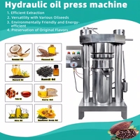Extracteur d'Huile d'Olive à Froid en Acier Inoxydable 304, Machine d'Extraction d'Huile Hydraulique pour Noix de Coco et Olives