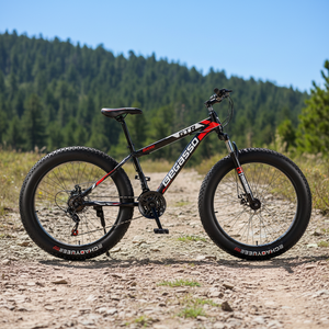 Vente en gros Vélo VTT professionnel 24 26 pouces avec frein à disque, 7 vitesses, pneus larges 4.0, pour neige et plage, pour adulte - Product Image 6