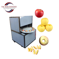 Commerciële appel schil-, ontpit- en splitsmachine met 220V motor
