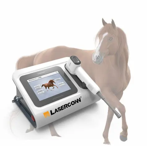 horse laser pain relief animal Pets veterinary Class 4 horse therapy veterinary laser therapy equipment